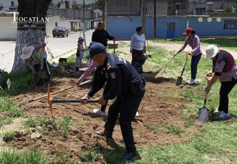 Realizan jornadas de limpieza en la Venustiano Carranza, Tocatlán